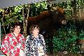 [ pilt: 052X    IMG_4691.JPG ]